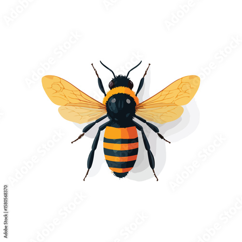bee on white background