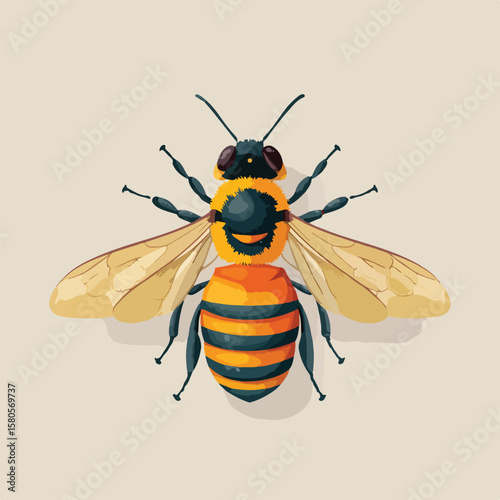 bee on white background