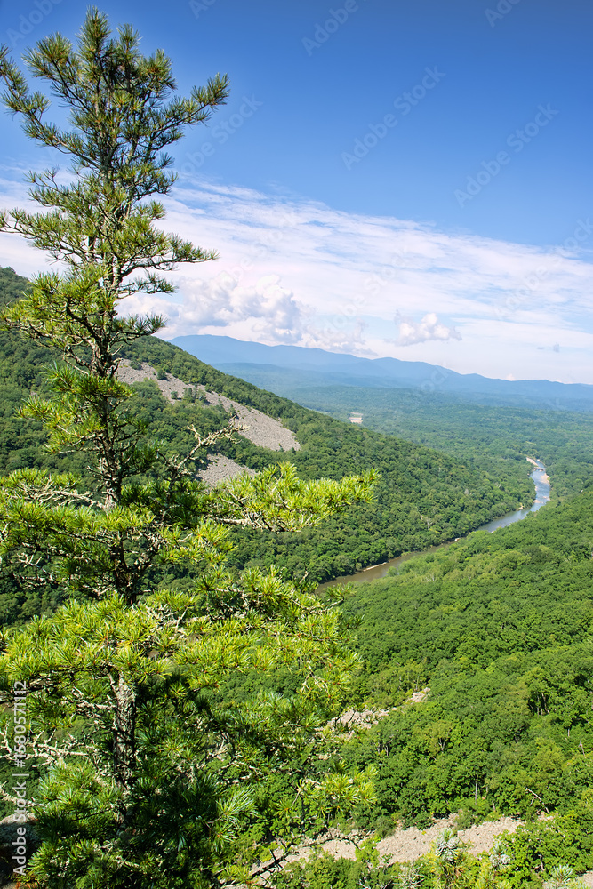 Obraz premium Sikhote Alin mountains with deciduous forests and rocky scree on the tops of mountains where trees are not fixed - barrens, river gorge, Korean pine tree at front. Eastern Siberia