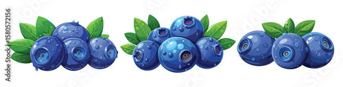 Delicious blueberries set with leaves fresh organic food sweet vector illustration
