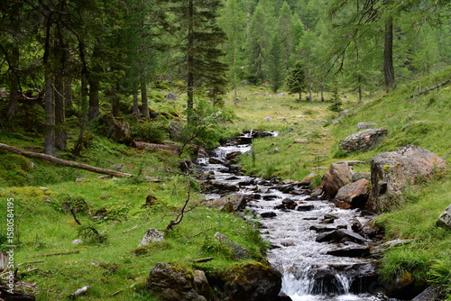 Ein kleiner Fluss im Ultental in Südtirol 