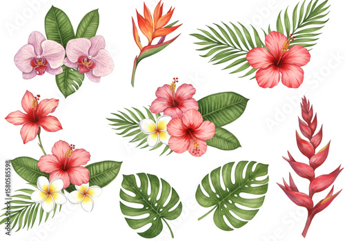 Watercolor Tropical Floral Illustration with Hibiscus Orchid and Leaves
