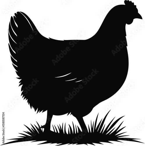 Black silhouette of a hen standing in green grass