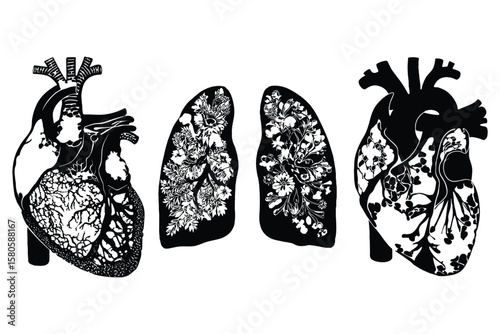 set of human lung and heart silhouette illustrations in black, featuring detailed organ anatomy