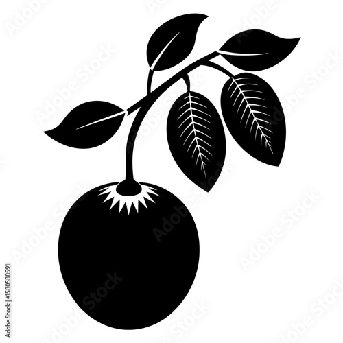 Stylized orange fruit tree branch silhouette vector illustration