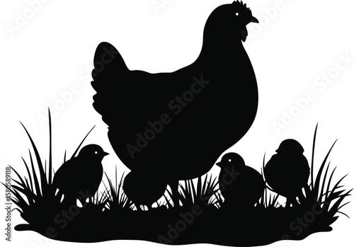 Silhouette of a mother hen and her chicks in the grass