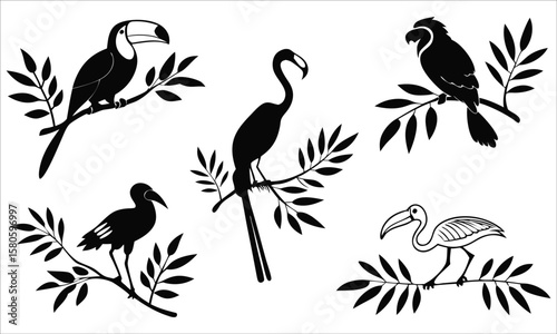 Toucan flamingo ibis owl perched on branches bird