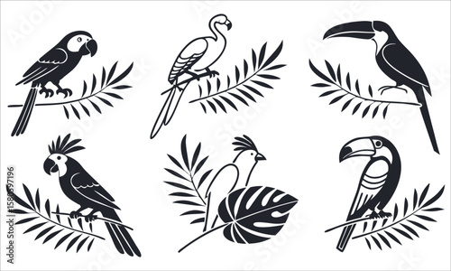Tropical birds and foliage silhouettes parrot macaw