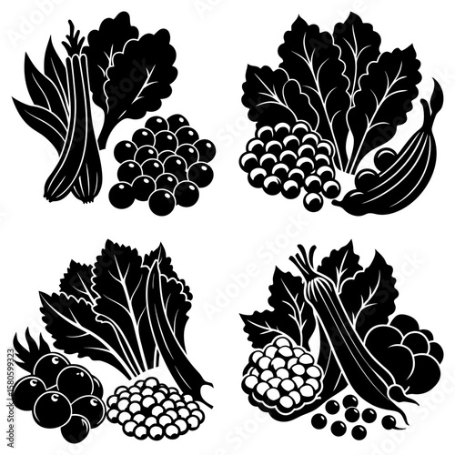 Black and white illustrations of leafy greens peas and beans arranged in four distinct groupings on white