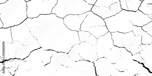 high contrast image featuring a white surface  with black cracks,  creating an abstract and distressed background look	 with textured regions concentrated towards the bottom.