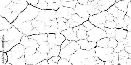 high contrast image featuring a white surface  with black cracks,  creating an abstract and distressed background look	 with textured regions concentrated towards the bottom.