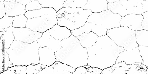 high contrast image featuring a white surface  with black cracks,  creating an abstract and distressed background look	 with textured regions concentrated towards the bottom.