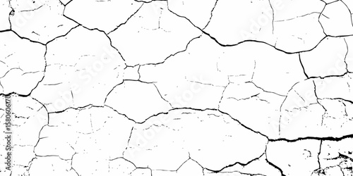 high contrast image featuring a white surface  with black cracks,  creating an abstract and distressed background look	 with textured regions concentrated towards the bottom.