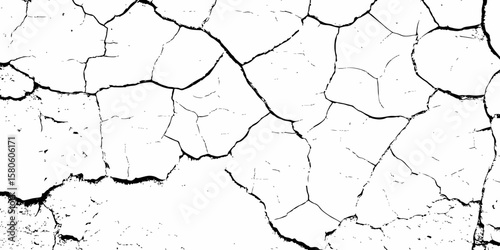 high contrast image featuring a white surface  with black cracks,  creating an abstract and distressed background look	 with textured regions concentrated towards the bottom.