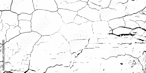 high contrast image featuring a white surface  with black cracks,  creating an abstract and distressed background look	 with textured regions concentrated towards the bottom.