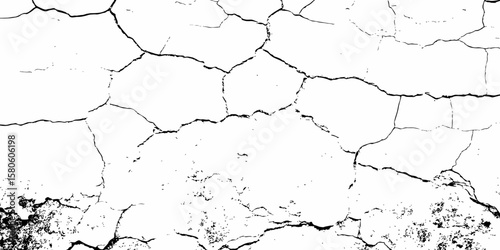 high contrast image featuring a white surface  with black cracks,  creating an abstract and distressed background look	 with textured regions concentrated towards the bottom.