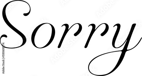 Minimalistic vector illustration of the word "Sorry" written in elegant calligraphy. Clean and emotional design.