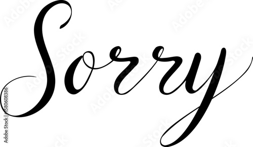 Minimalistic vector illustration of the word "Sorry" written in elegant calligraphy. Clean and emotional design.