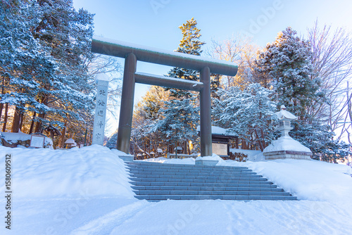 Japan - February 4, 2025 : Scenic view of Great Torii Gate in front of Hokkaido Shrine in winter, one of most popular tourist destination in Sapporo, Hokkaido