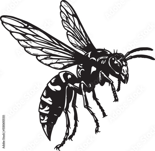 Detailed black and white illustration of a flying wasp showing anatomy and design elements