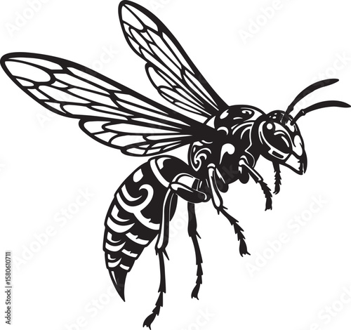 Detailed black and white illustration of a flying wasp with intricate wing and body patterns