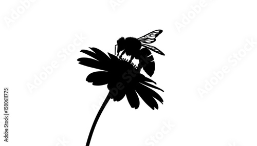 Silhouette of a bee on a flower with detailed wings and petals in black and white contrast art