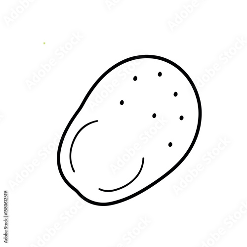 Vector Illustration of Fresh Potato with Detailed Texture on White Background
