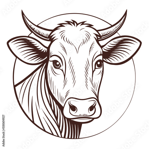 Detailed cow head sketch brown ink cattle bovine