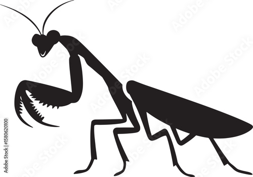 mantis silhouette line art design illustration premium quality