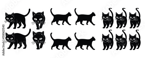 Collection of black cats walking