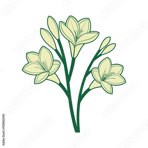  Freesia Stem Vector — Soft Curved Bloom in One Color