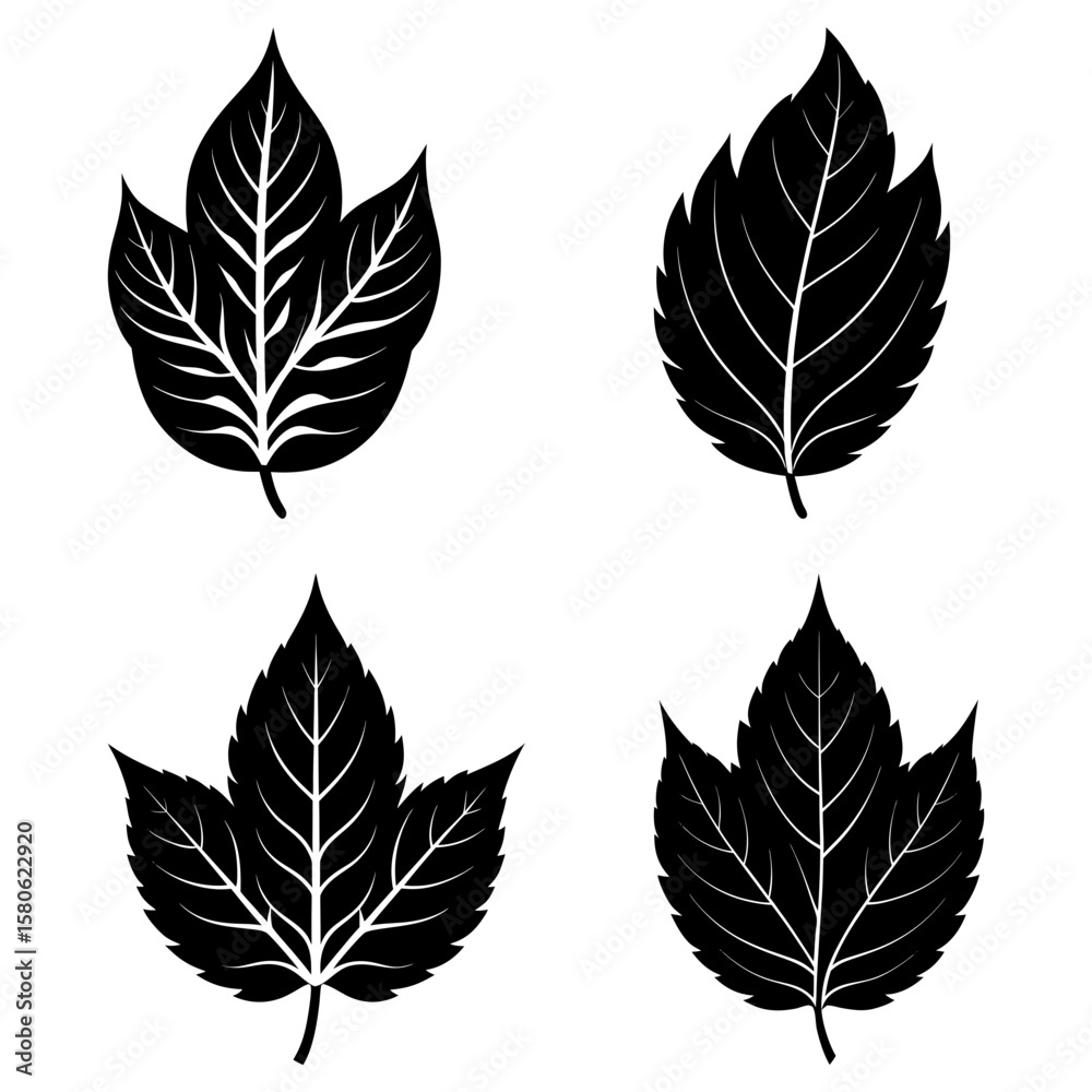 Obraz premium Four stylized black leaves with prominent veins arranged on a white background in a square pattern