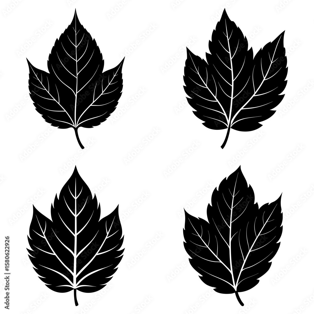 Obraz premium Four stylized black leaves with prominent veins arranged on a white background in a square pattern