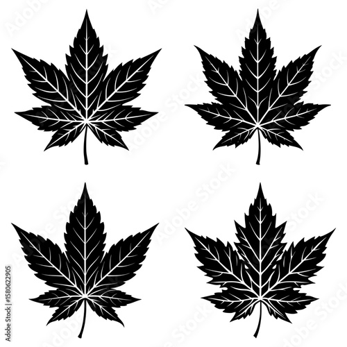 Four black and white maple leaf illustrations arranged in a square pattern on white background