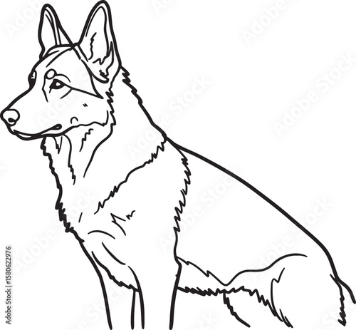 Elegant outline illustration of a german shepherd dog in a sitting and observing pose