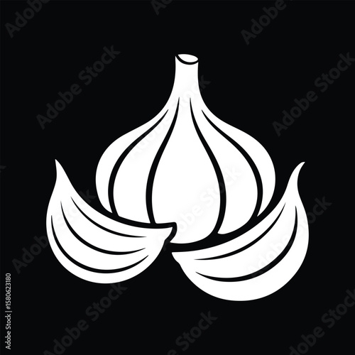 White garlic bulb with cloves on black background vector