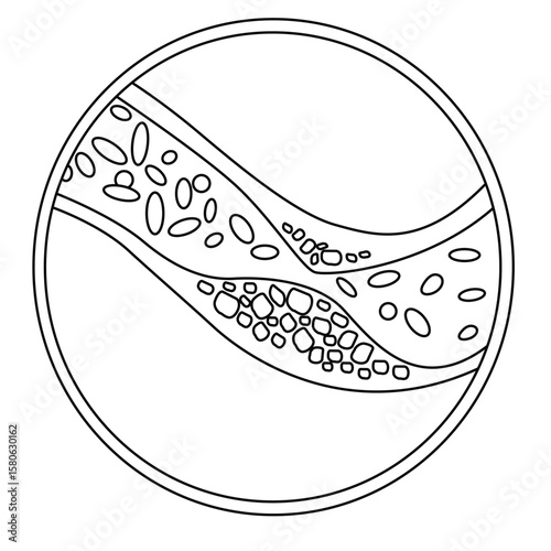 Cute cartoon hand drawn vector diagram of Cholesterol outline.