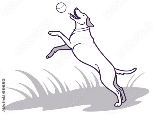 cat and dog