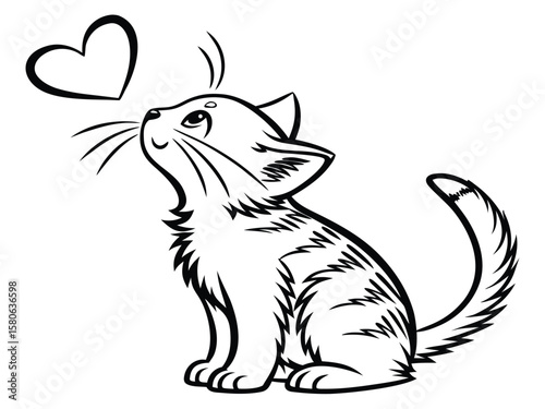 cat and dog
