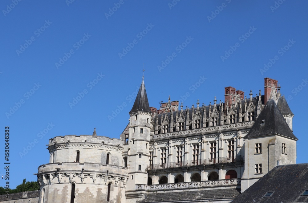 Fototapeta premium Amboise in France 