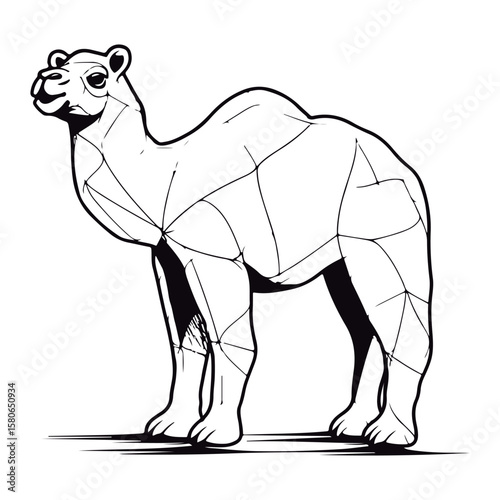Coloring Page Of cartoon cute baby bactrian camel kawai Coloring Book for kids.