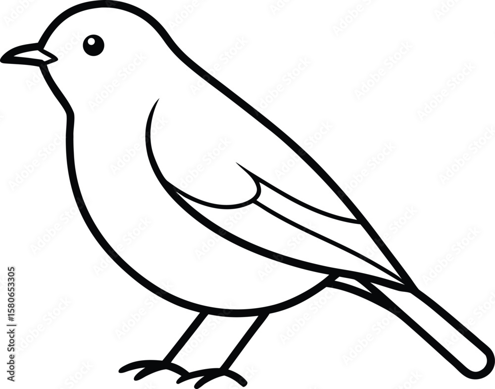 Fototapeta premium A robin bird line art vector illustration.