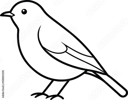 A robin bird line art vector illustration.