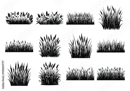 Set of Grass and Wheat Silhouette Designs