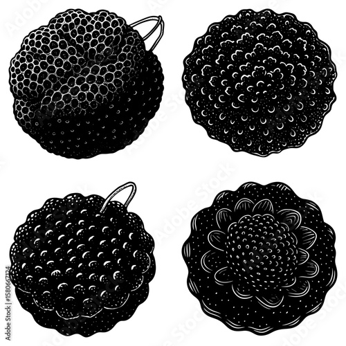 Illustration of four black and white round objects with textured surfaces in a square format layout