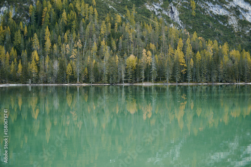 reflection of trees in the lake