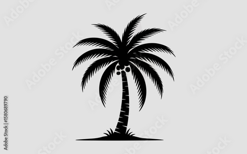 Black silhouette of a palm tree with coconuts isolated on white background