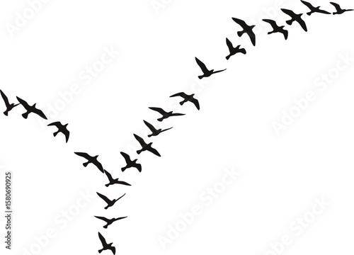 Birds in Flight: Minimalist Black Silhouette