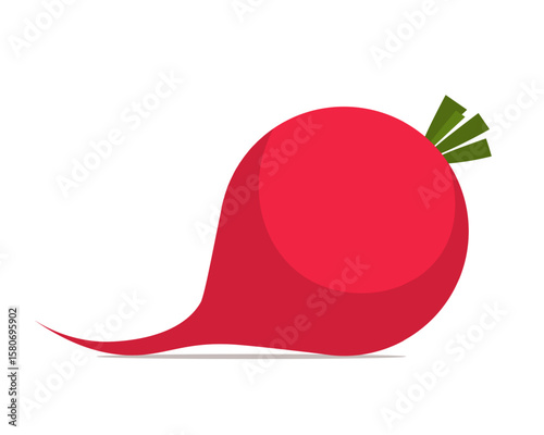 Red radish isolated on white background. Vector illustration Not AI generated