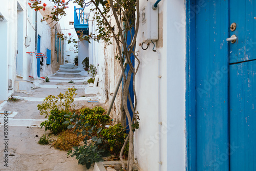Fototapeta Naklejka Na Ścianę i Meble -  Narrow alley with blue doors and flowers in Plaka, Milos island, Greece